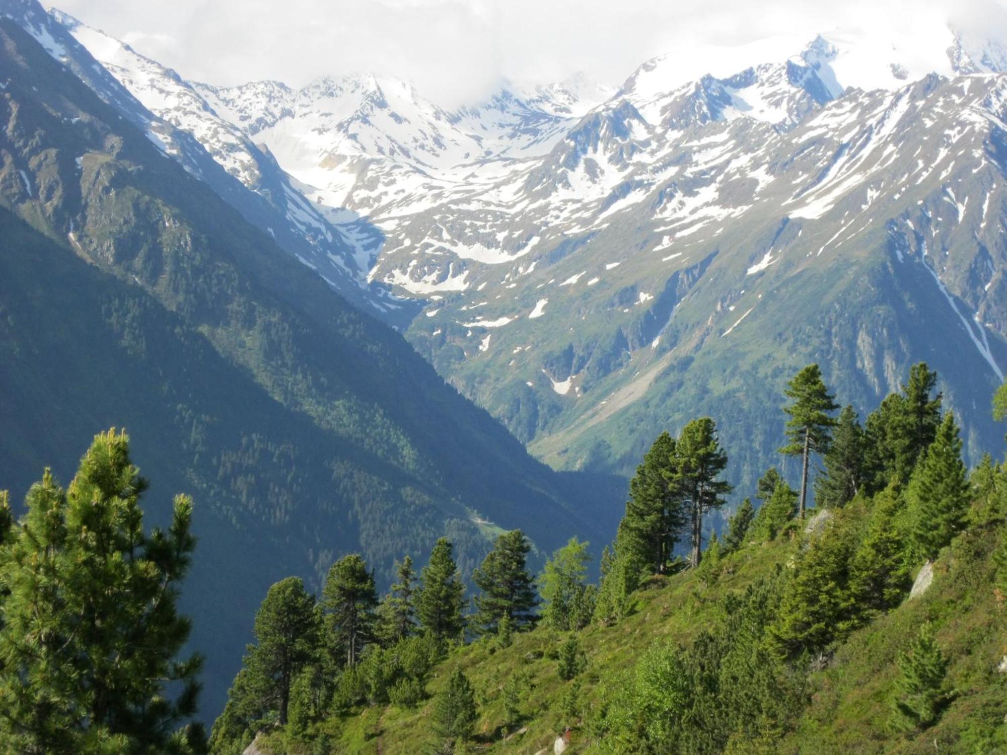 Ferienhaus Stubai Neustift im Stubaital Bagian luar foto