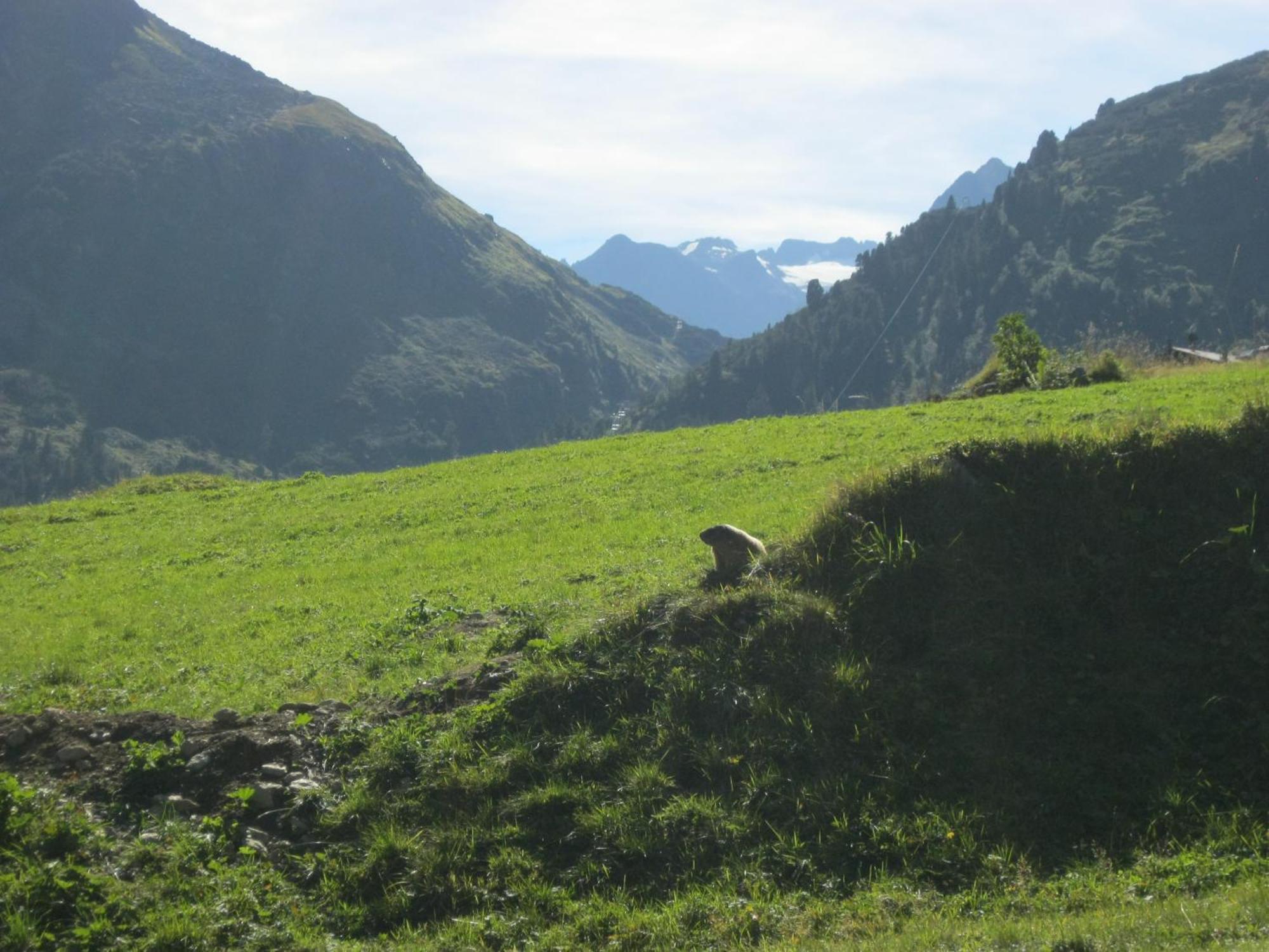 Ferienhaus Stubai Neustift im Stubaital Bagian luar foto